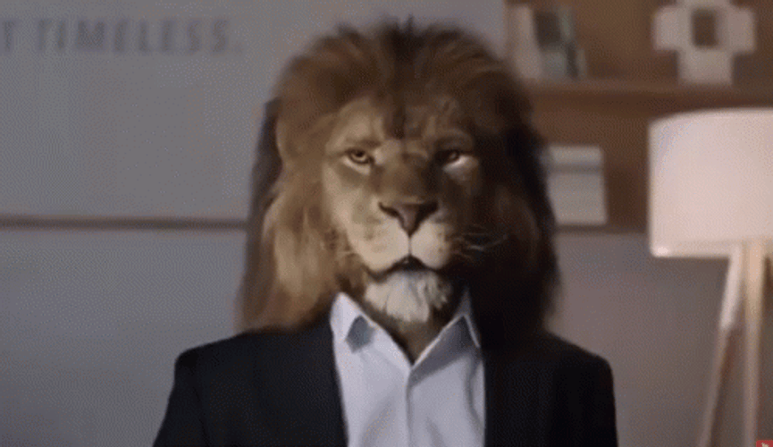 Lion Head Yes GIF