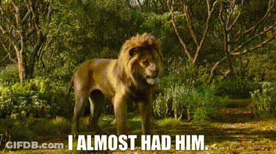 Lion In Forest Saying I Almost Had Him GIF