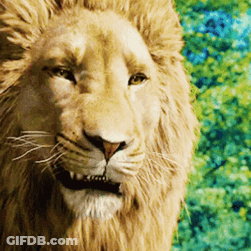 Lion In Suit And Tie With Solbank Logo GIF