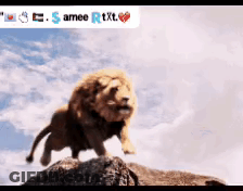 Lion Jumping Over Rock Samee Rtxt GIF