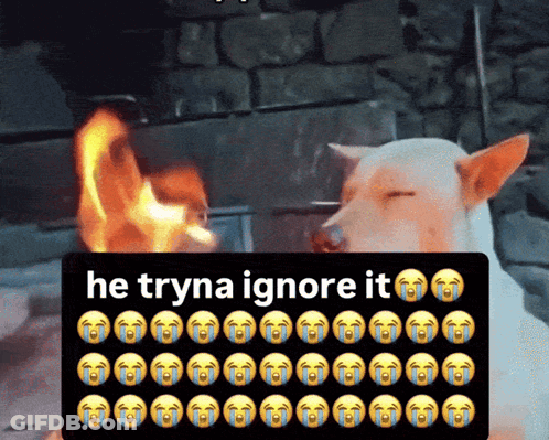 Lion Jumping Over Rock Saying Samee Rtxt GIF