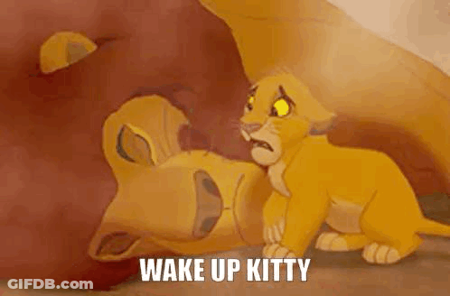 Lion King Lion And Cub Laying On Ground GIF