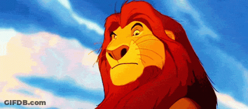 Lion King Lion Looking At Camera With Blue Sky GIF