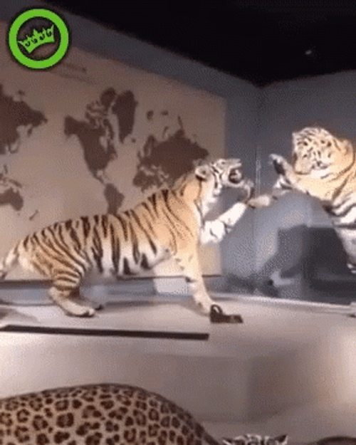 Lion King Meme Museum GIF