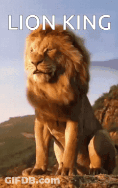 Lion King Poster Lion Sitting On Rock GIF