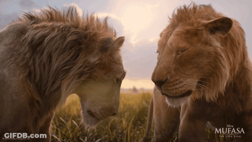 Lion King Poster Monkey Petting Lion GIF