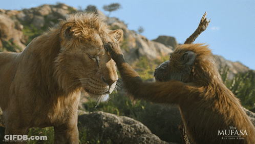 Lion King Poster Monkey Petting Lion GIF