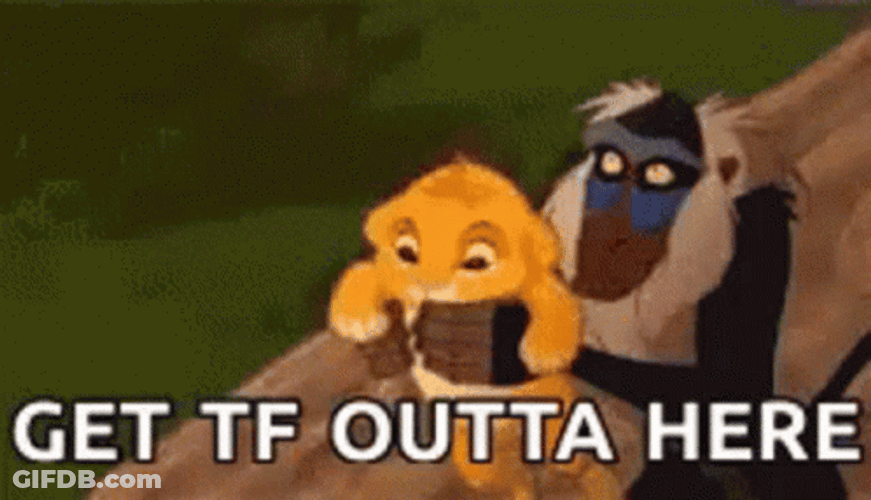 Lion King Throwing Simba Get Tf Out GIF