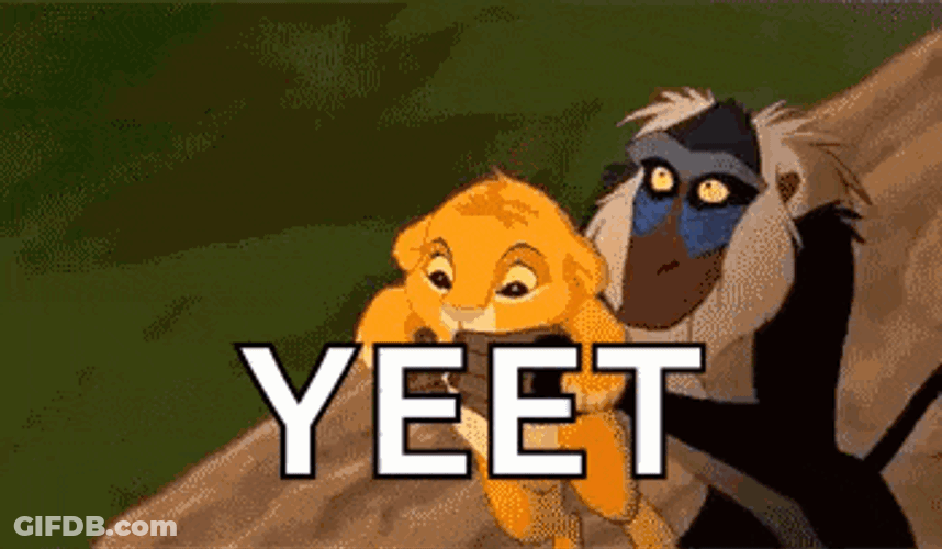 Lion King Yeet GIF