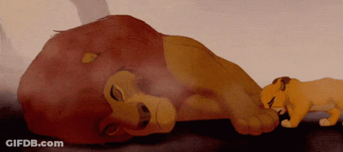 Lion Laying Down Next To Smaller Lion GIF