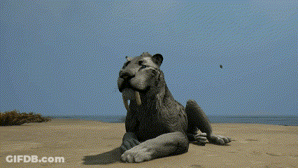Lion Laying On Sand No No No GIF