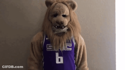 Lion Mascot In Purple Jersey Number 6 GIF