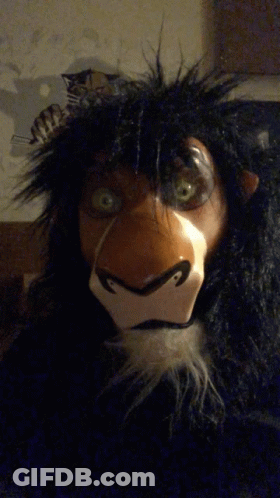 Lion Mask With Zebra Behind GIF