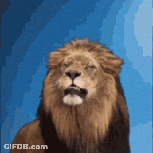 Lion On Rock Saying Good Morning GIF