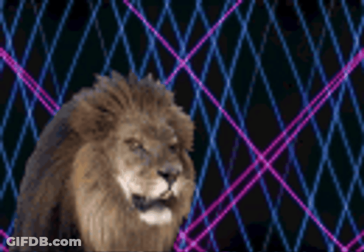 Lion Roar Explosion GIF