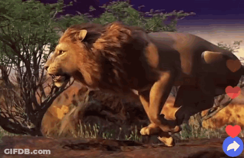 Lion Running From Bull With Facebook Like Button GIF