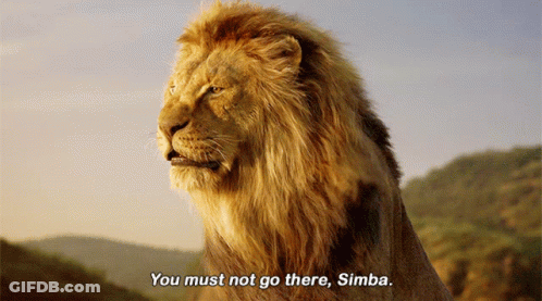 Lion Saying You Must Not Go There Simba GIF