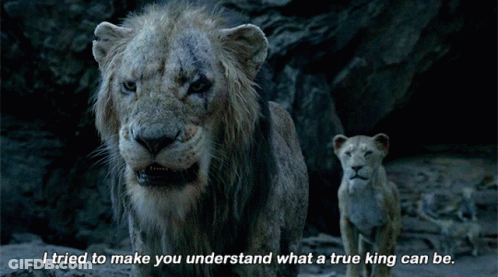 Lion Says I Tried To Make You Understand What A True King Can Be Next To Another Lion GIF