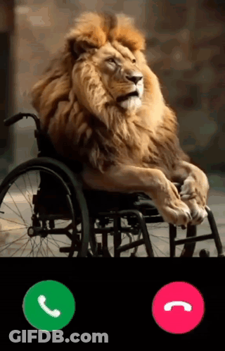 Lion Sitting On Hill Saying Papi You Da King GIF