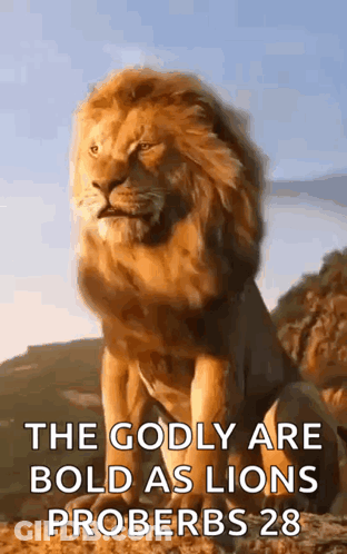 Lion Sitting On Hill With Proverbs 28 Quote GIF