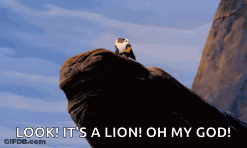 Lion Sitting On Rock Look It's A Lion GIF