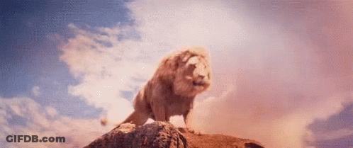 Lion Standing On Rock In Desert GIF