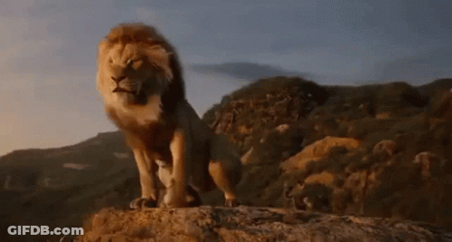 Lion Standing On Rock In Mountain Range GIF