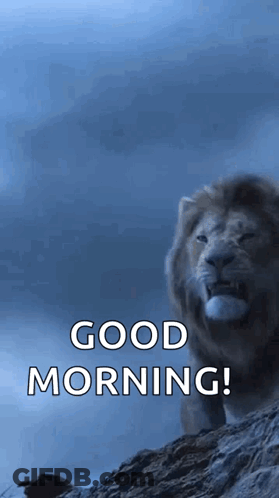 Lion Standing On Rock With Good Morning GIF