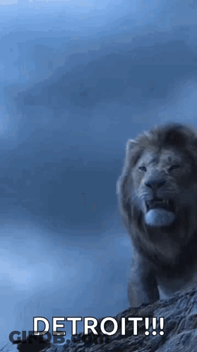 Lion Standing On Rocky Hill Detroit GIF