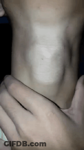 Lion Statue Laying On Back In Front Of House GIF
