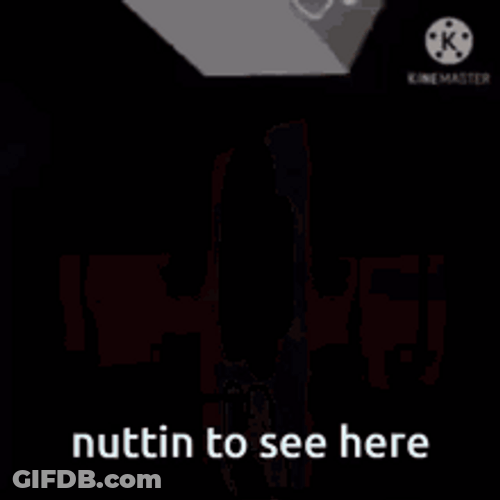 Lion Stickers Animation Nothing To See Here GIF