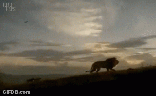 Lion Walking On Hill With Cloudy Sky And GIF