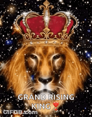 Lion Wearing Crown Saying Grand Rising King GIF