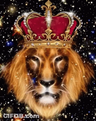 Lion Wearing Red And Gold Crown With Starry Background GIF