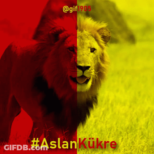 Lion With Aslankukre Text GIF