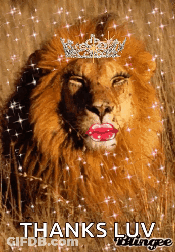 Lion With Crown Saying Thanks Luv Blingee GIF