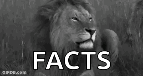 Lion With Facts Text GIF