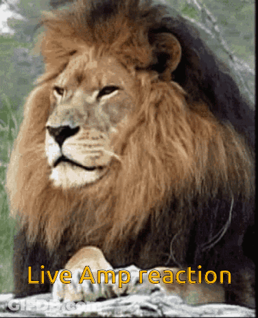 Lion With Live Amp Reaction GIF