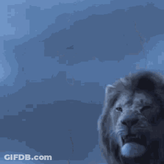 Lion With Mouth Open Against Blue Sky GIF