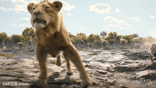 Lion With Mufasa Logo GIF