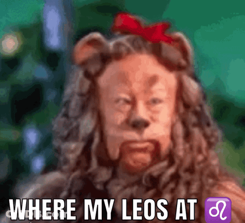 Lion With Red Bow Says Where My Leo At GIF