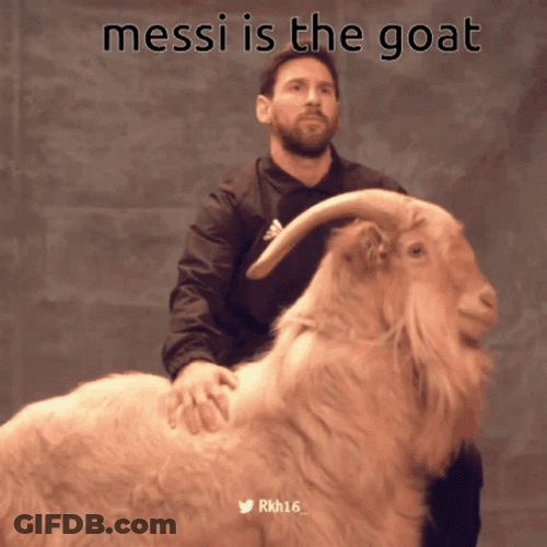 Lionel Messi Having Photoshoot With Goat GIF