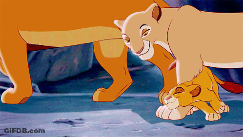 Lioness And Baby Lion GIF