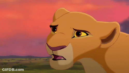 Lioness You Will Never Be Mufasa GIF