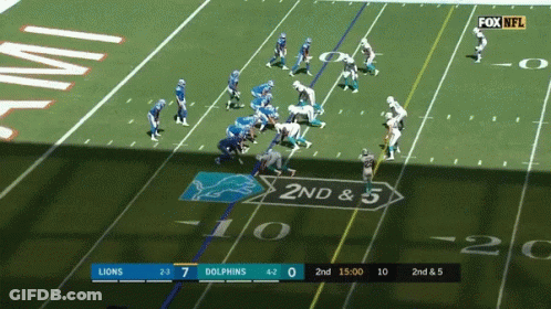 Lions Detroit GIF