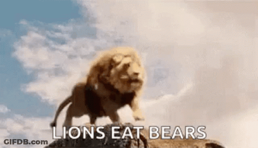 Lions Eats Bears Roaring GIF