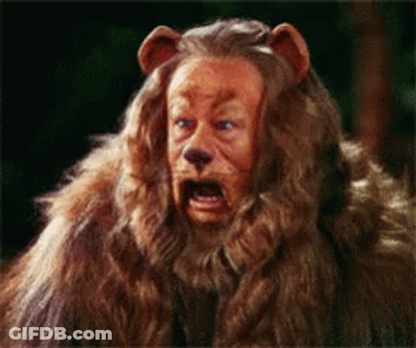 Lions Man Awkward Roaring GIF