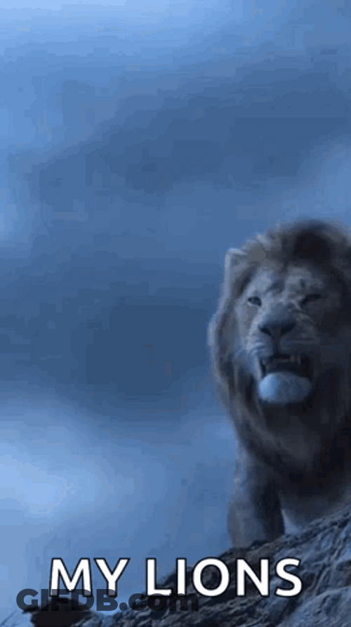 Lions Roaring For The Pride GIF