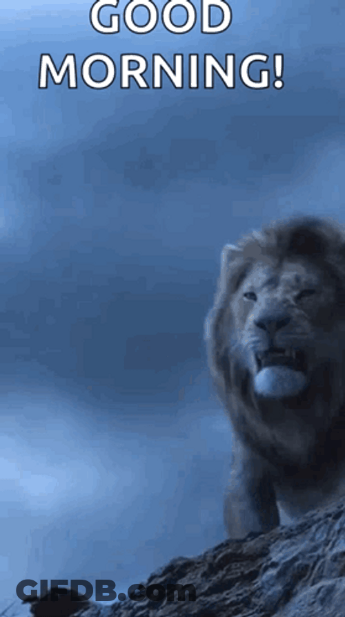 Lions Roaring Good Morning GIF