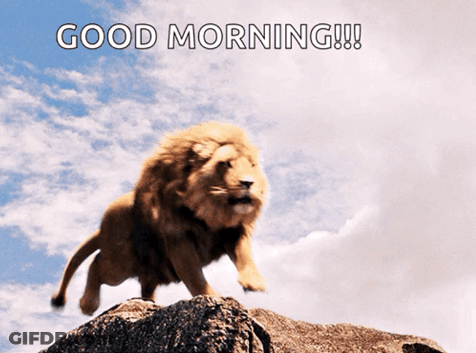 Lions Roaring Good Morning Up The Hill GIF
